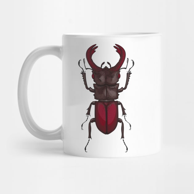 Stag beetle by katerinamk